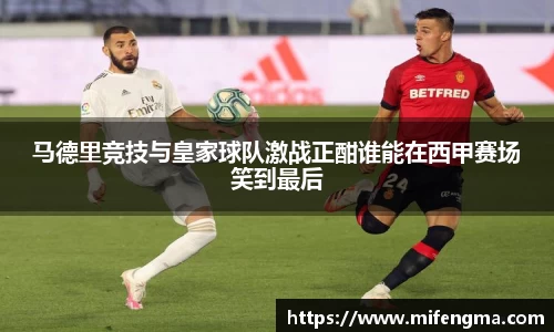 马德里竞技与皇家球队激战正酣谁能在西甲赛场笑到最后